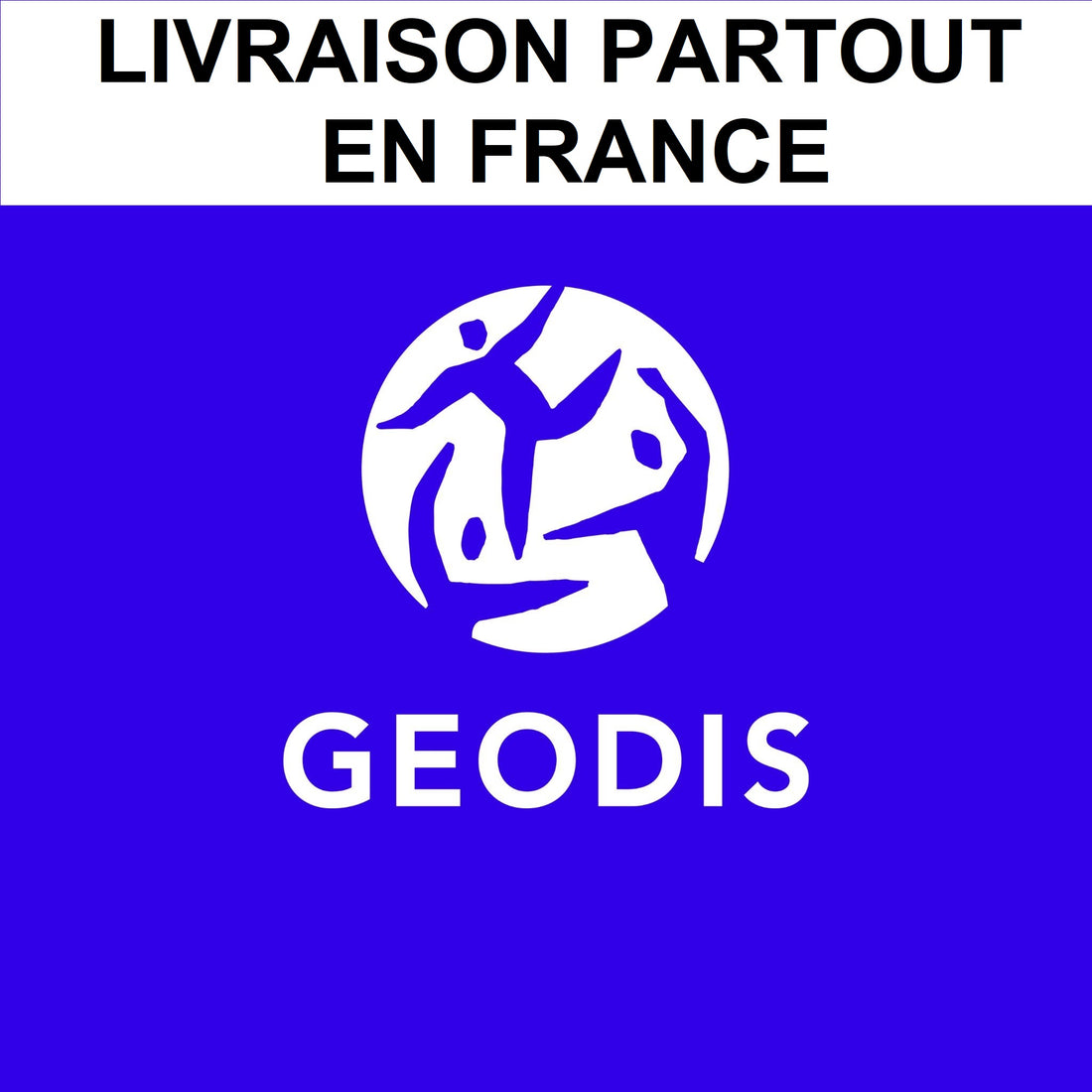 Geodis : livraison partout en France
